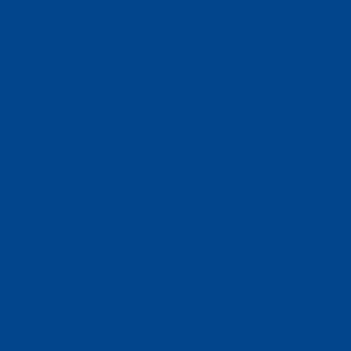 cerata-ONIGO-DARK-BLUE-SHATARD CHILDREN-próbka