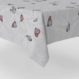 cerata-butterfly-kolorowy-swiezy-szary-czerwony-zmywalny