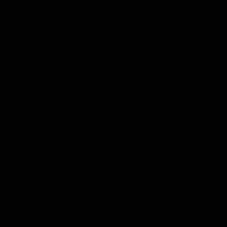 cerata-Black-uni