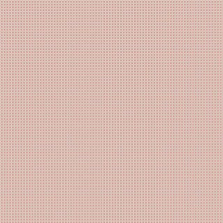 cerata-Asencyjny Rundney