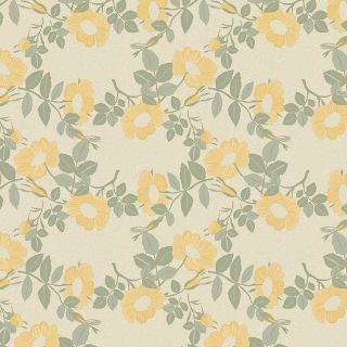 cerata-Captain-Cook-Wildflowers-Oyster-Flower-Geel-Groen-Roos