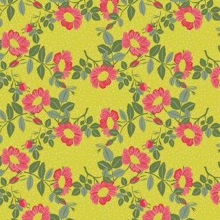 Captain-Cookcerata-160CM-Groen-Geel-Roos-Wildflowers-Flowers-Nature-Lentte