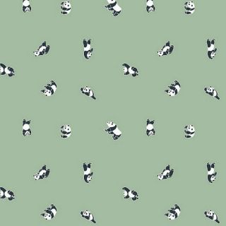 Captain-Cookcerata-160CM-Animal-Graing-Haulable-Pandami-Sage-Panda-Green-Blost-Black