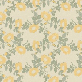Captain-Cookcerata-160CM-WILDflowers-Oyster-Geel-Groen-Roos-Flower-Natuur-Fris