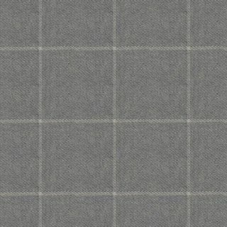 cerata-Licht-Gray-Creck-Coat-Napdeco