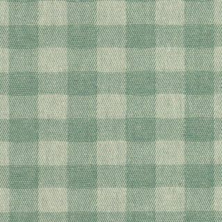 Green-Ritjar-Treattertitablecerata-Coat-Napdeco