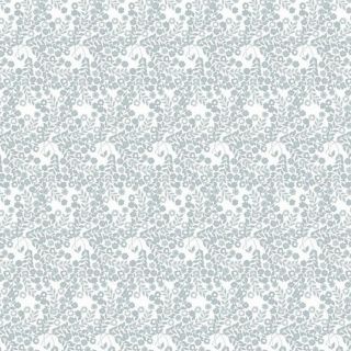 cerata-lola-wallflower-ice-szary