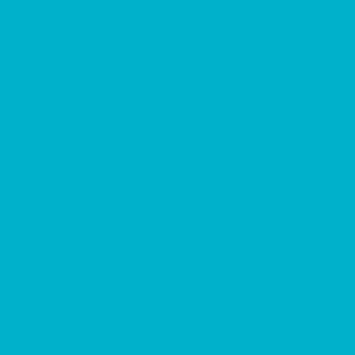 cerata-WAŻNE-LIGHT-BLUE-BUE-ATOI-VOEL-ROLL
