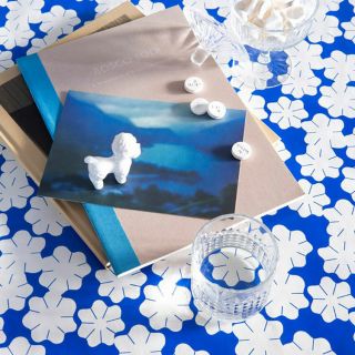 cerata-Wit-Flowers-Blue-lola