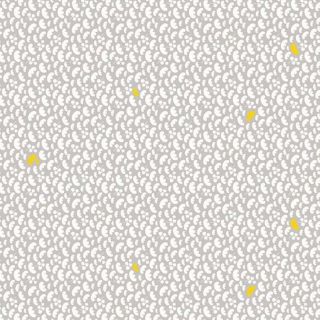 lola-cerata-Grijs-White