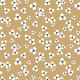 Cerata-Lola-Niwa-Peanut-Flower-Elegant