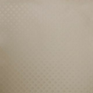 Oilcloth_poline_zafiro_beige24