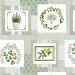 zielony-cerata-Modern-Planten Flowers