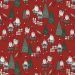 Gwiazdorcerata-Kerstmis-Red 
