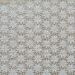 Cerata-Loemen-Dessalace-Daisy-Cream