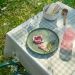 Window-clean-recyclablecerata-lola-Wit-Plamat-Groen łatwo